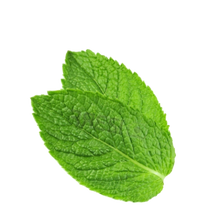 Mint Leaf 1